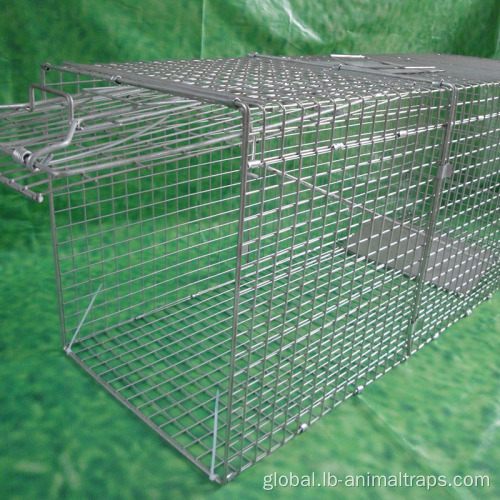 Collapsible Construction Trap Cage Live Animal Trap Cage Rabbit Cage Racoon Cage Manufactory